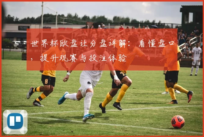 世界杯欧盘让分盘详解：看懂盘口，提升观赛与投注体验