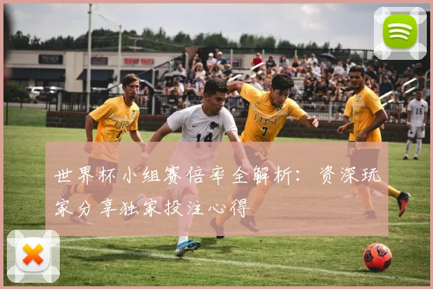 世界杯小组赛倍率全解析:资深玩家分享独家投注心得