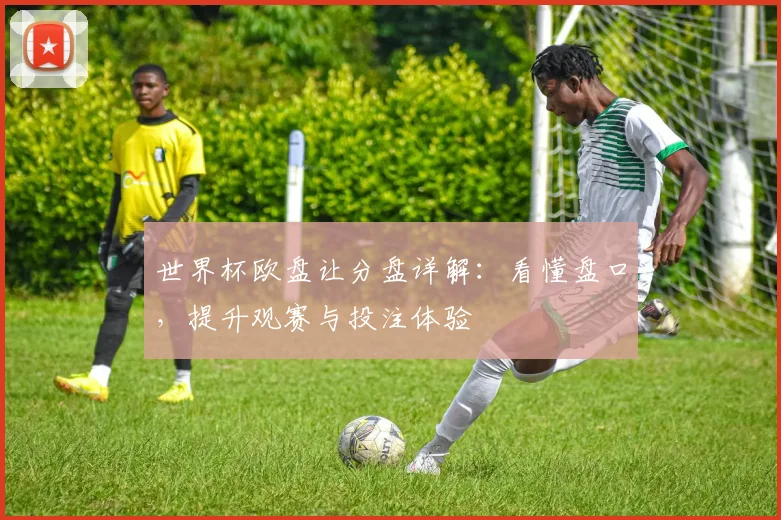 世界杯欧盘让分盘详解：看懂盘口，提升观赛与投注体验
