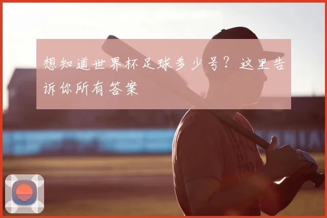 想知道世界杯足球多少号？这里告诉你所有答案