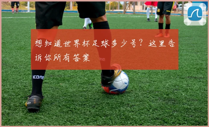 想知道世界杯足球多少号？这里告诉你所有答案