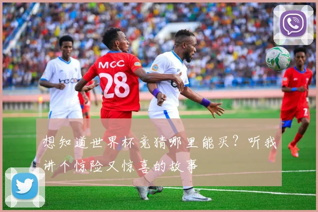 想知道世界杯竞猜哪里能买？听我讲个惊险又惊喜的故事