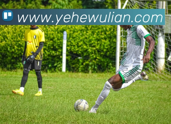 App Interface Preview